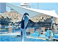 名古屋港水族館写真