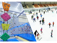 邦和みなと　スポーツ＆カルチャー写真