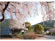 東谷山フルーツパーク（世界の熱帯果樹温室）写真