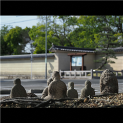日泰寺参道付近で撮影された千種区こあらっち賞受賞作品