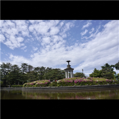 鶴舞公園で撮影されたハッチー賞受賞作品