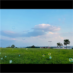 滝の水公園で撮影された入賞受賞作品