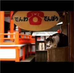 龍泉寺境内で撮影された守山区モリスちゃん賞受賞作品