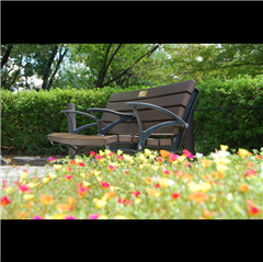 中村公園で撮影されたハッチー賞受賞作品