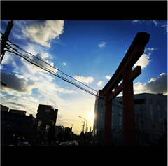 交差点「中村公園」近くの歩道橋で撮影されたハッチー賞受賞作品