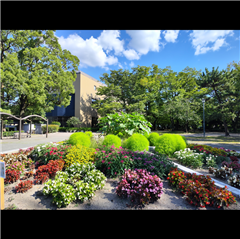 中村公園(香りの園)で撮影された中村区役所特別賞受賞作品