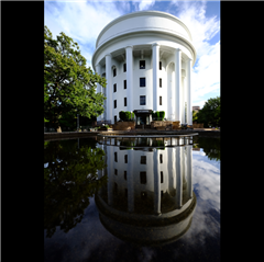 稲葉地公園で撮影された中村区役所特別賞受賞作品