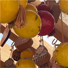 豊国神社で撮影された中村区役所特別賞受賞作品