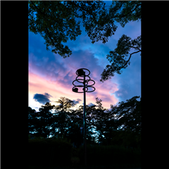 中村公園(ひょうたん池)で撮影された中村区役所特別賞受賞作品