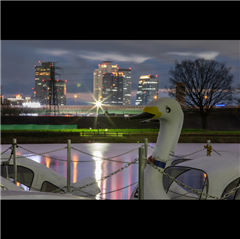 庄内緑地で撮影された入賞受賞作品