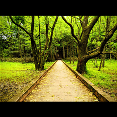 猪高緑地で撮影された名東区役所特別賞受賞作品