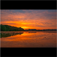 牧野ケ池緑地で撮影された最優秀賞受賞作品