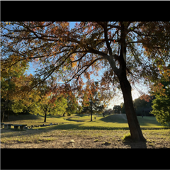市バス沿線フォトコンテスト天白区編の天白区特別賞作品の画像です