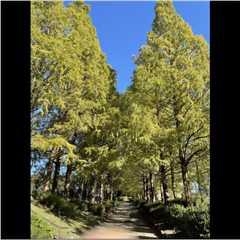 市バス沿線フォトコンテスト天白区編の入賞作品の画像です