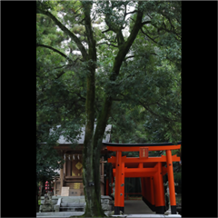 市バス沿線フォトコンテスト天白区編の入賞作品の画像です