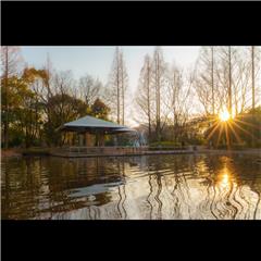 市バス沿線フォトコンテスト熱田区編の熱田区特別賞作品の画像です