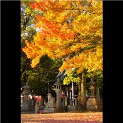 市バス沿線フォトコンテスト熱田区編のハッチー賞作品の画像です